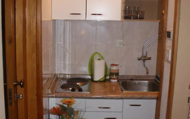 Apartment Renata