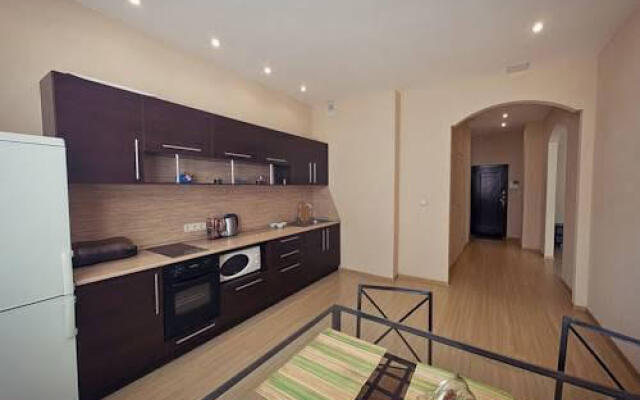 Nsk Flat Apartments Lenina Street Area