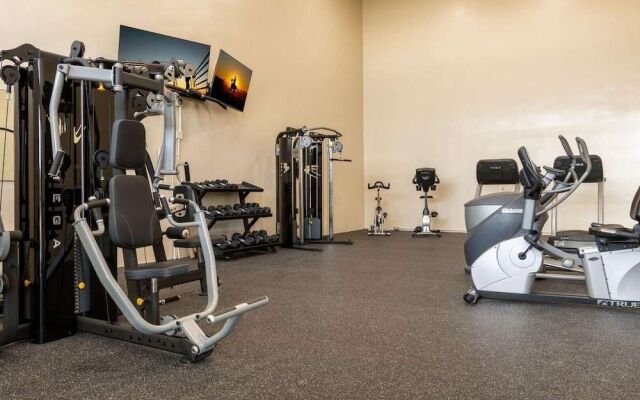 Phoenix 1144 By Redawning