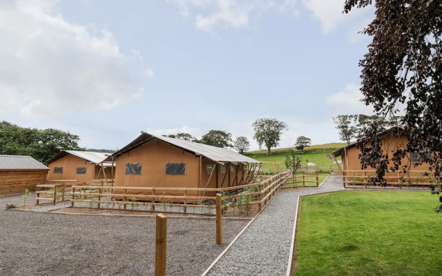 Mad Molly Lodge