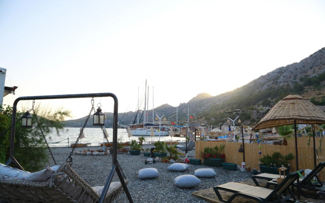 Tiny House Echino söğüt