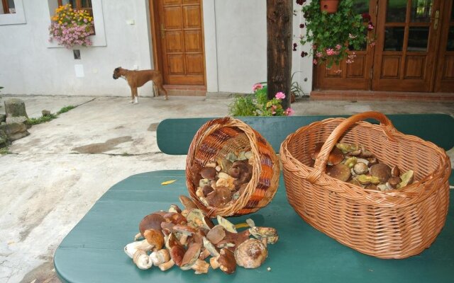 Penzion Motýlí Louka