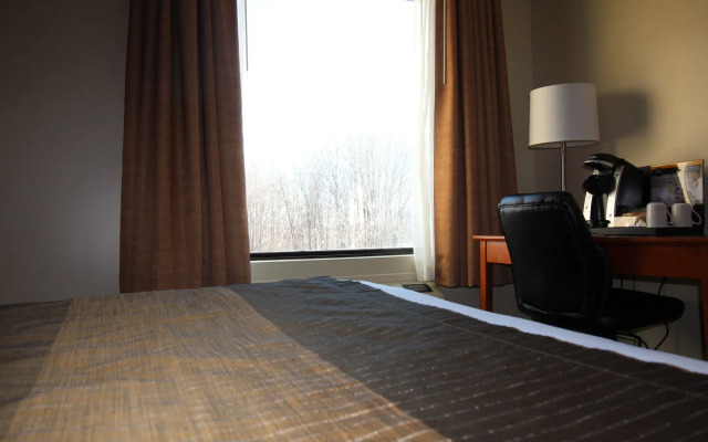 Quality Inn & Suites