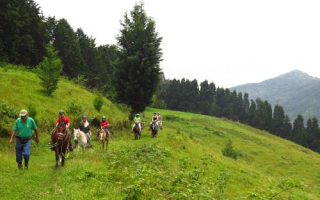 Rancho Amalia