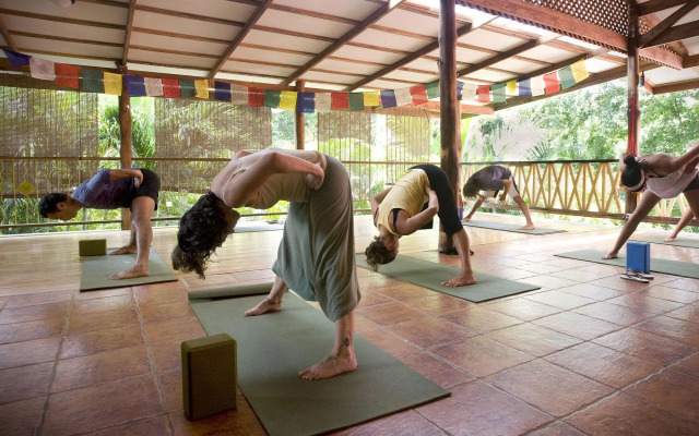Casa Zen