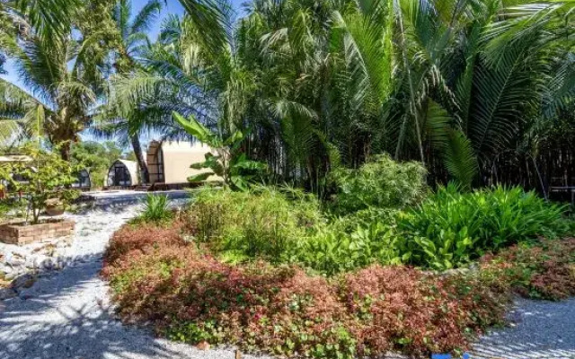 Nadi Glamping Suites