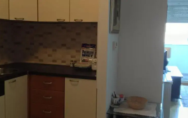 Apartment Toni