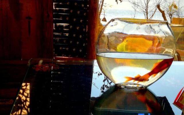 The inn of Sunshine fairy