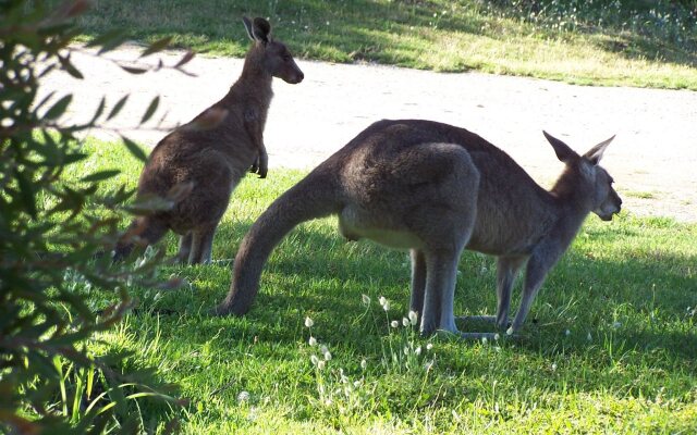 Venus Escapes Guesthouse