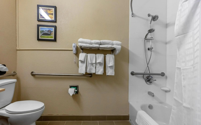 Comfort Inn & Suites Montgomery East Carmichael Rd