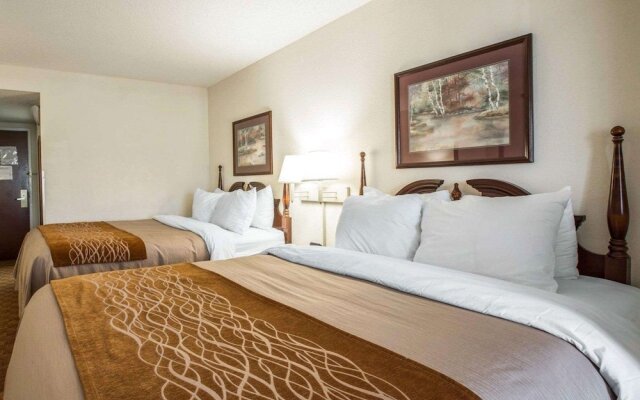 Comfort Inn & Suites