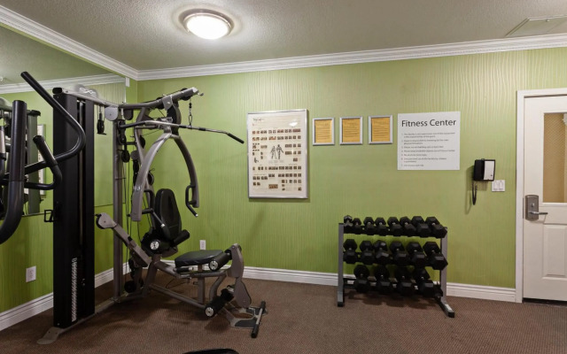 Holiday Inn Hotel & Suites San Mateo-San Francisco SFO by IHG