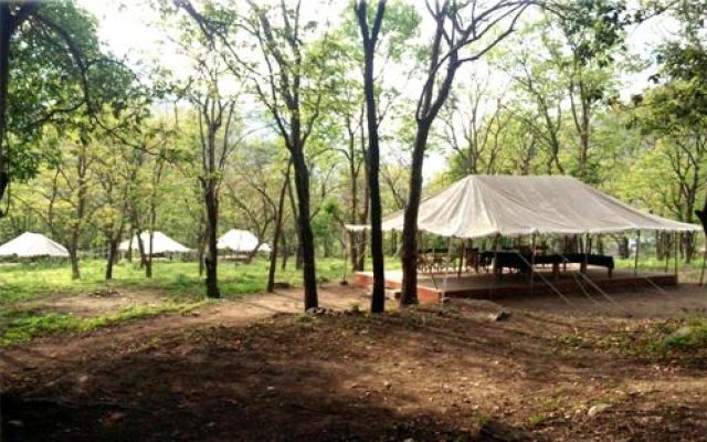 Camp Leopard Heights