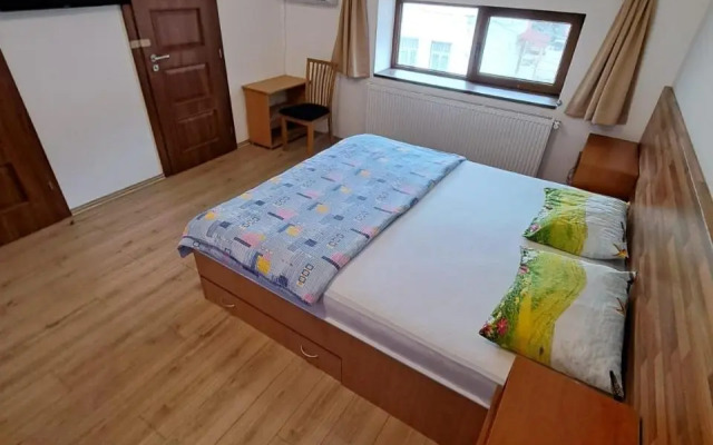 Apartment Cozia