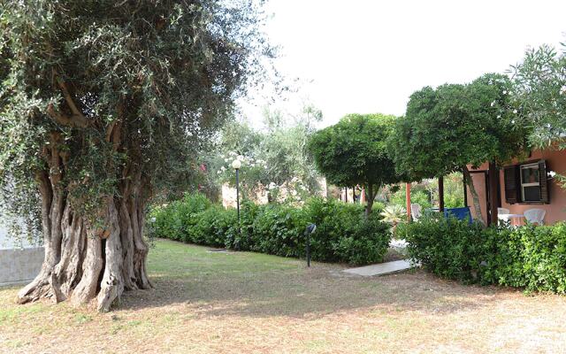 Villaggio Turistico Camping Parco Degli Ulivi