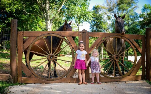 Pousada Farm Home