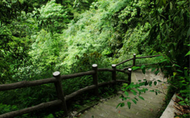 Xingyuanju Yangxin Apartment