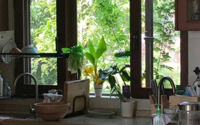 Yiliang Taoyuan Valley Homestay