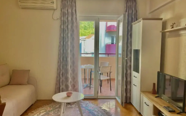 Comfort apartments near the beach