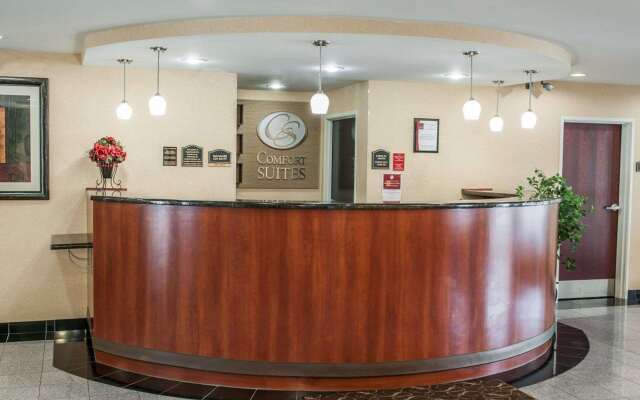 Comfort Suites near Indianapolis Airport