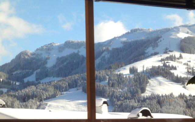 Chalet Weinberg Top 1 & Top 2 by Apartment Managers