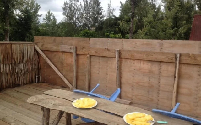 View Mountain House - Backpackers