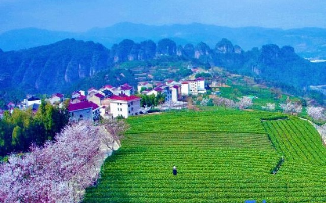Shanhai Yishu Homestay – Outside – Shaoxing
