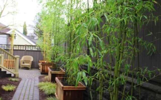 Studio in Montréal, With Enclosed Garden and Wifi