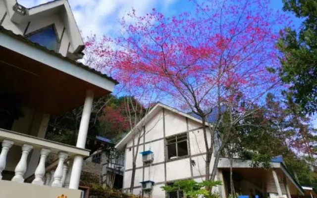 New Taoyuan Mountain Village