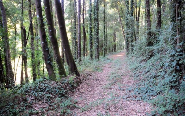 Quinta Das Escomoeiras