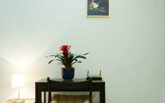 True Colors Apartments Cipro