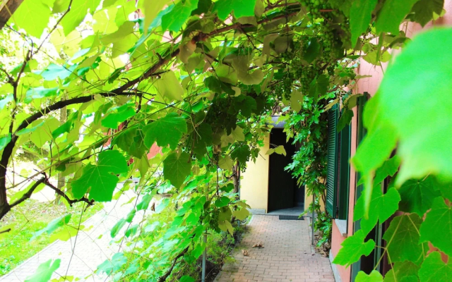 Residence Montelago