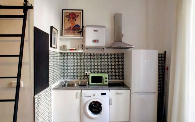 Apartamentos MLR Lavapiés