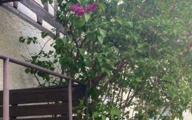 Ferienwohnung schöner Rheingau