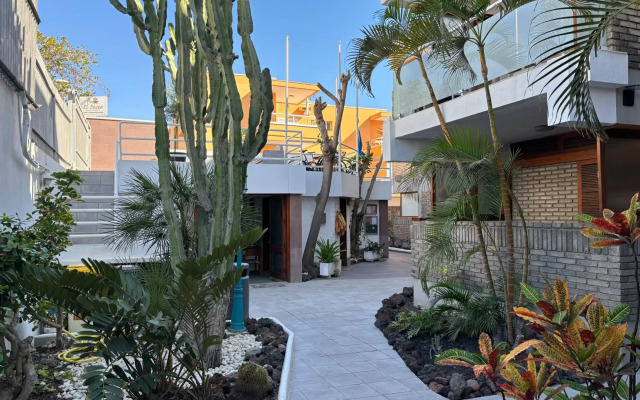 Apartamentos El Paseo