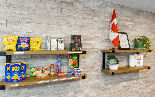 Samesun Toronto - Hostel