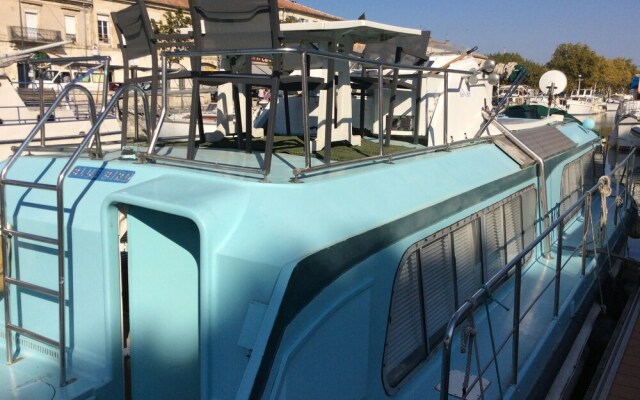 Penichette Oiseau Bleu