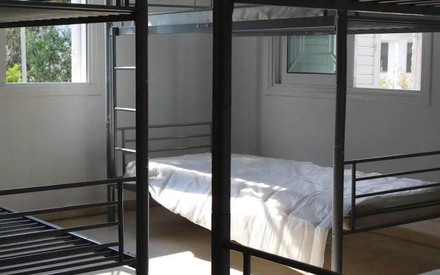 Costas Hostel Action 2