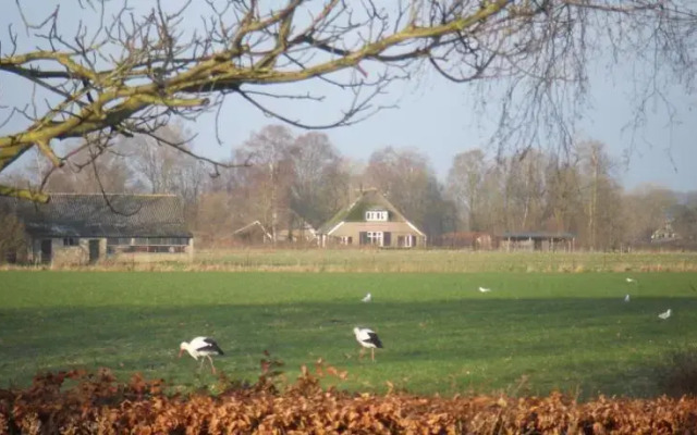 B&B De Eefdese Enk