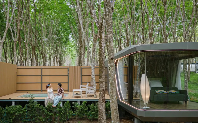 Timber Society Boutique Hideaway