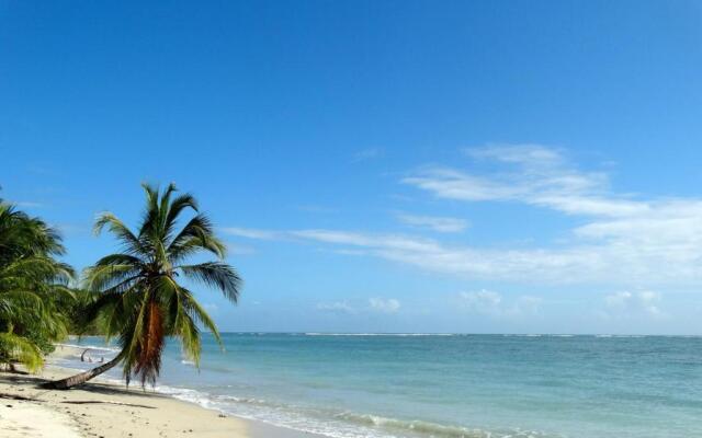Caribbean Secret