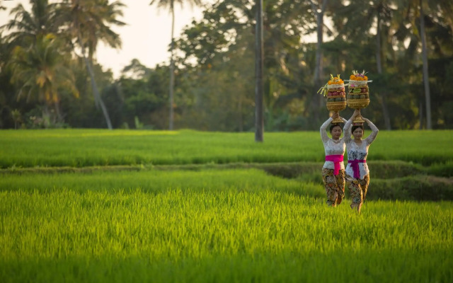 Dwaraka The Royal Villas
