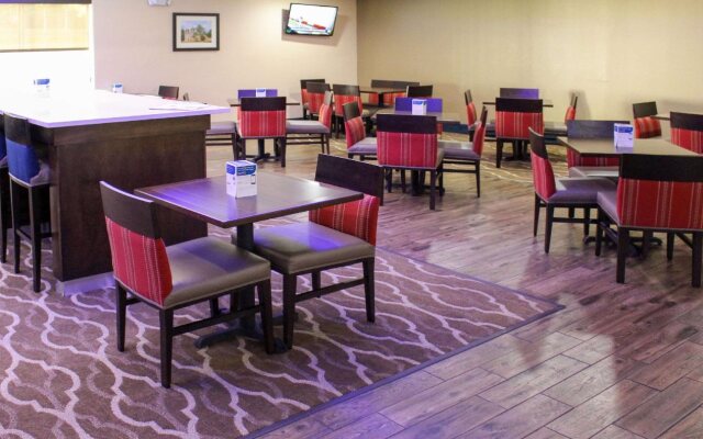 Comfort Inn and Suites Near Six Flags and Medical Center