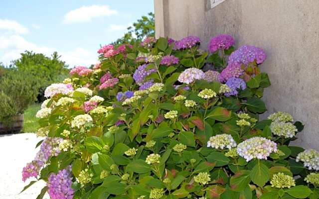 La Vieille Distillerie