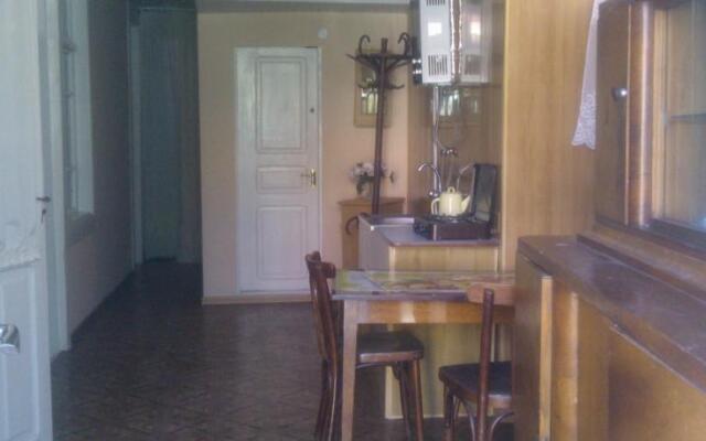 Guest House Borjomi on Pirosmani Street