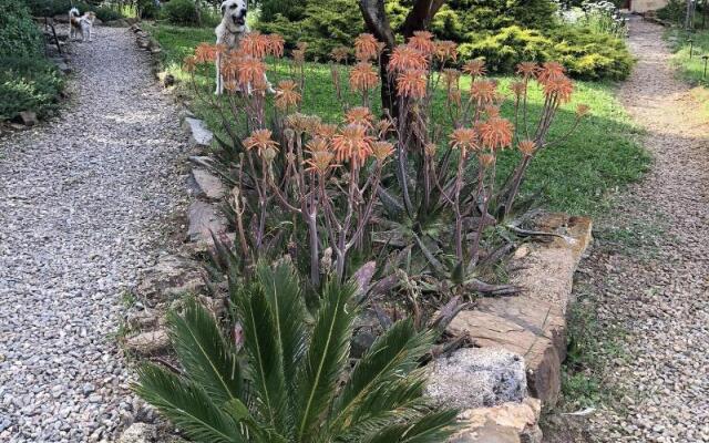 La Cerca Del Alcornoque