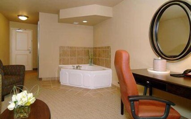 Comfort Suites near Hot Springs Park