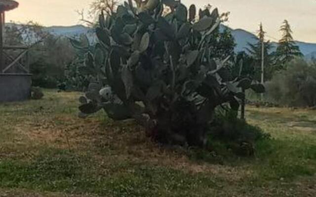 La Casa di Bacco Etna Country House Affitto Breve