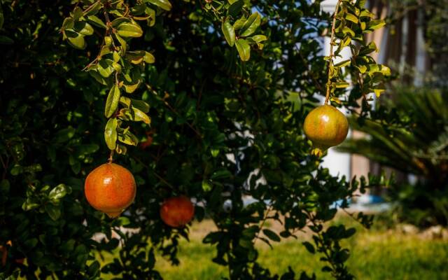 Callistos Apartment Pescoluse