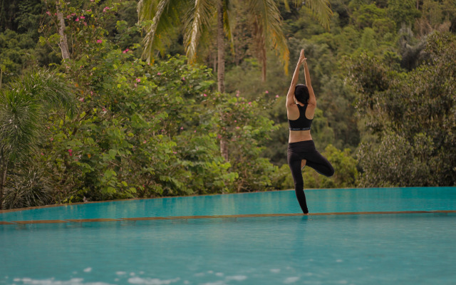 Ayung Resort Ubud